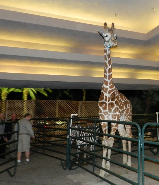 Giraffe for rent for parties, event, video and photo shoots and film production in California and Florida