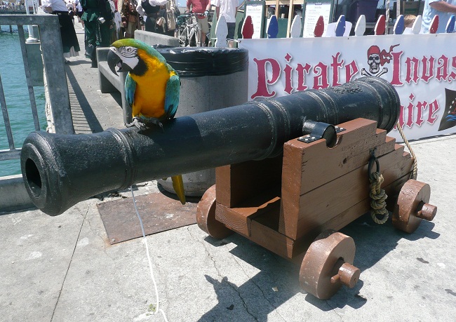 pirate cannons for sale, picture of a pirate cannon