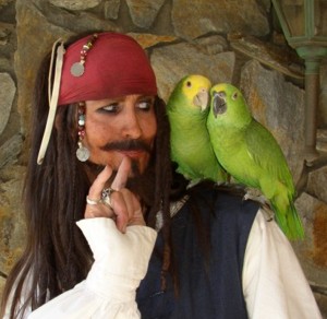 Parrot Jack a Jack SParrow impersonator with parrots for pirate party