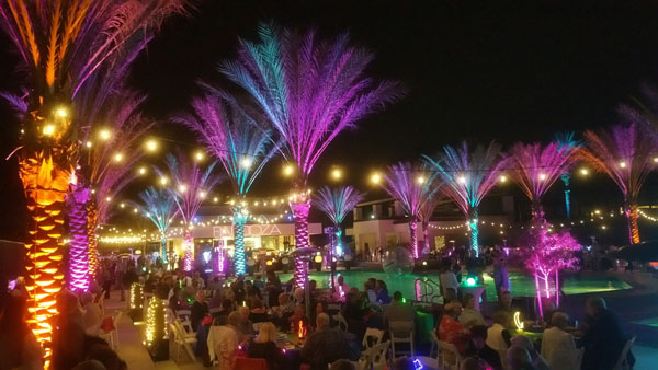 lighting rental company showing outdoor light display around a resort swimming pool with colorful uplighted palm trees and market lights strung from tree to tree