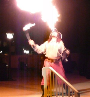 Captain Parrot Jack a pirate entertainer for hire for parties and events in southern California